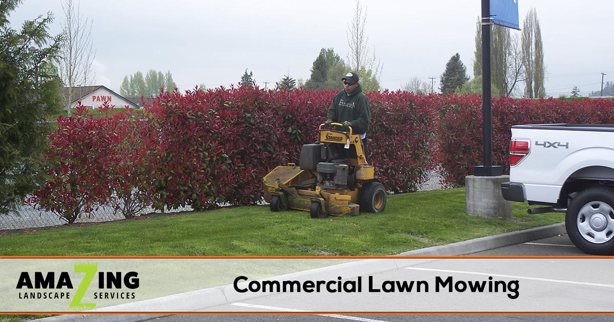 Commercial Lawn Mowing Amazing Landscape Services